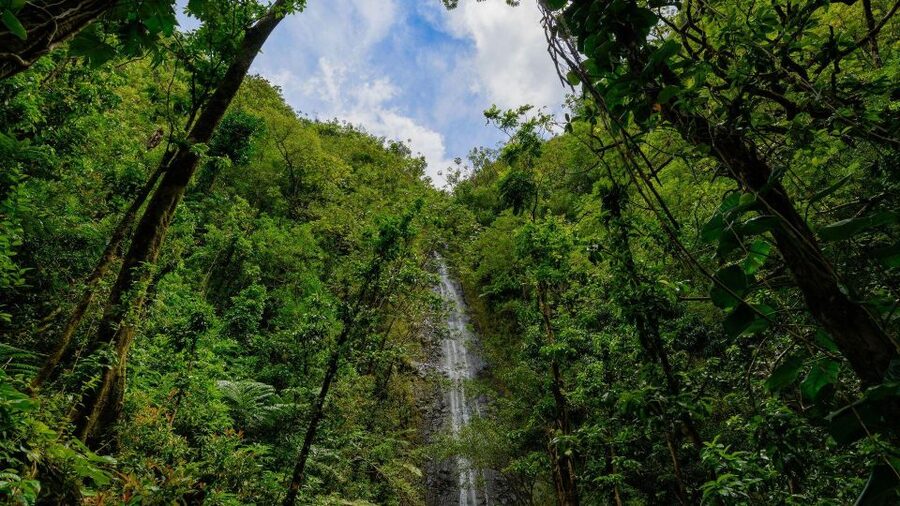 Diamond Head Manoa Falls - Pickup that keeps your day from feeling like a scramble
