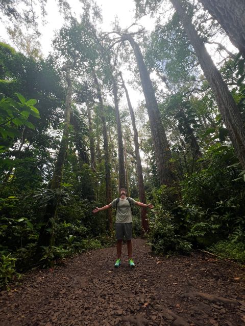 Diamond Head Manoa Falls - Manoa Falls in the bamboo: jungle air and waterfall payoff