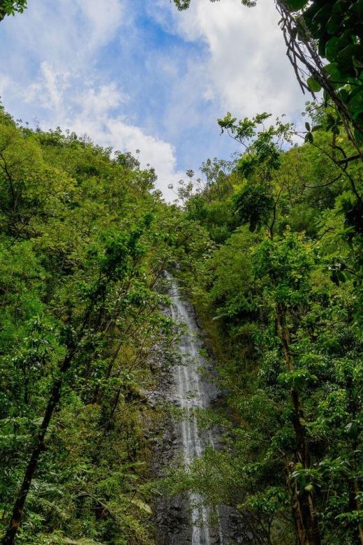 Diamond Head Manoa Falls - What to pack so the heat and mud do not win