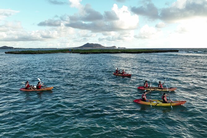 Discover Popoia Island and Kailua Bay by Kayak Guided Tour - Snorkel gear on the tour: how to use it wisely