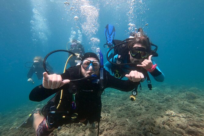 Discover Scuba Diving in Hawaii - Non certified divers! - Two Shallow Underwater Sessions Over Oahu Reef Life