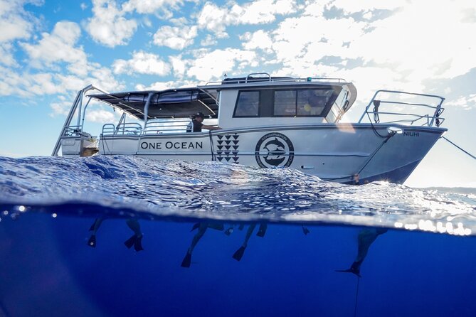 Dive with Sharks in Hawaii: Shark Tour from Haleiwa - What you see out there: sharks plus the bonus marine life