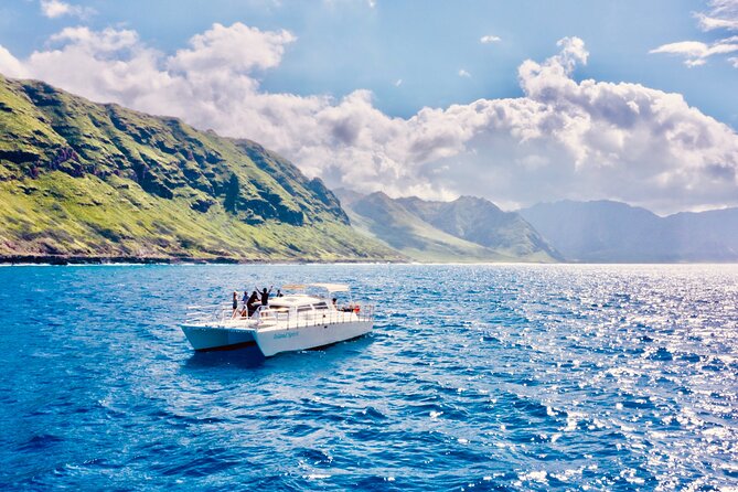Dolphin Watching and Snorkeling on the West Coast of Oahu - Dolphin Watching on West Oahu: What You Can Expect