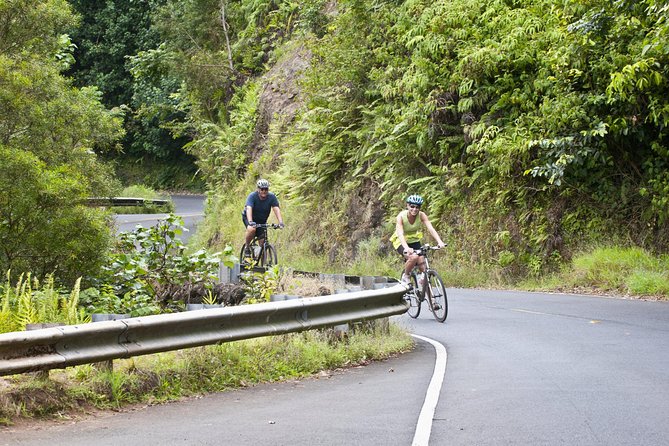 Downhill Bike and Ko'olau Waterfall Hike Tour - Key things to know before you go