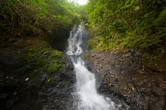Downhill Bike and Ko'olau Waterfall Hike Tour - Optional Koolau Waterfall hike: the muddy, rewarding part