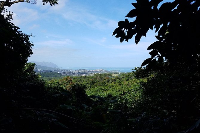 Downhill Bike and Ko'olau Waterfall Hike Tour - What makes the guides matter (Daniel, Ray, Terrii, Mike, Jeremy)