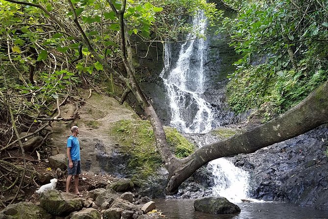 Downhill Bike and Ko'olau Waterfall Hike Tour - The downhill bike ride: views, speed control, and safety first