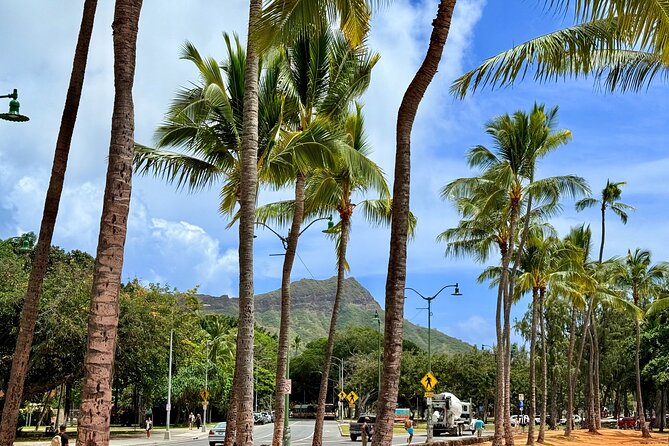 Downtown Honolulu Food Tour with 5 Local Favorites Tastings - Key Points You Should Know
