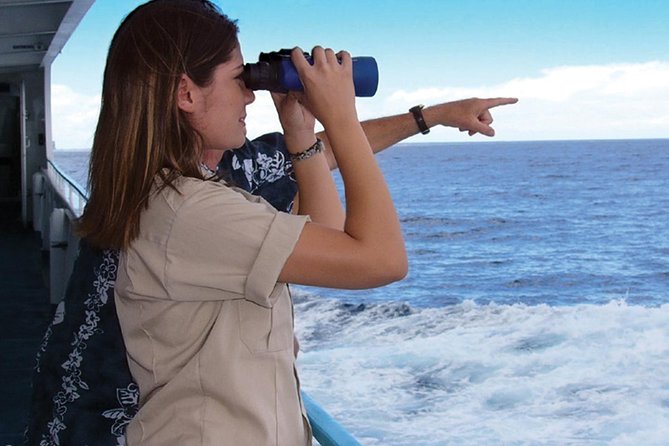 Early Bird Whale Watching Cruise from Waikiki - The Star of Honolulu: why four decks and stabilizers matter
