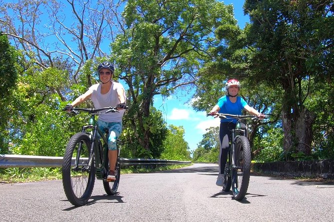 eBike Tour Honolulu Rainforest - Archie Baker Mini Park start, with optional Waikiki pickup