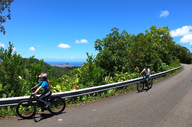 eBike Tour Honolulu Rainforest - The ride plan: 10 miles of smiles on a paved rainforest road