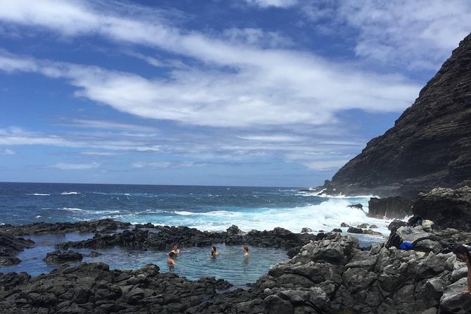 Eco-adventure friendly Aloha Island Tour - Dole Plantation and Haleiwa Town Center: classic stops, smart time use