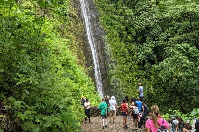 Electric Bike Ride & Manoa Falls Hike Tour - Group Size and Pacing: Why Up to Six Travelers Matters