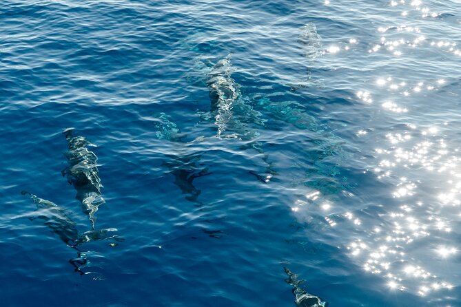 Exclusive Waikiki Yacht Snorkel with Lunch and Bevs - Diamond Head Crater from the water: pretty views, no land detour