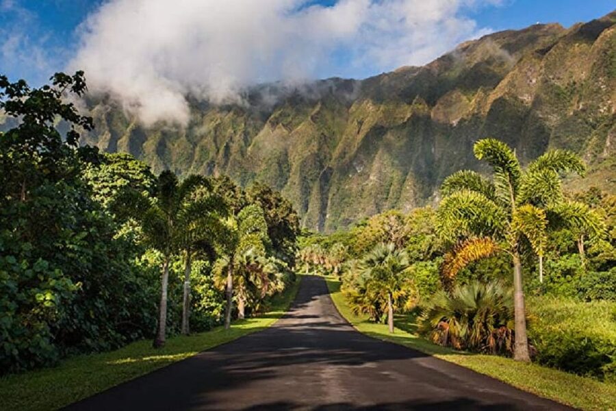 Explore Oahu in a Polaris Slingshot - Meeting at Aloha Motorsports, inside International Market Place