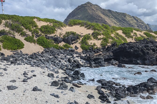 Famed North Shore Tour - Puaʻena Point Beach Park: Turtle Odds and Snorkel-Friendly Calm