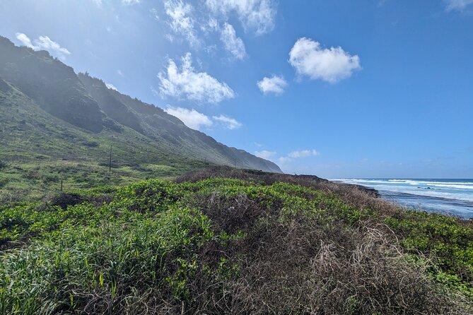 Famed North Shore Tour - Sharks Cove: The Snorkel Stop That’s All About Seeing Life