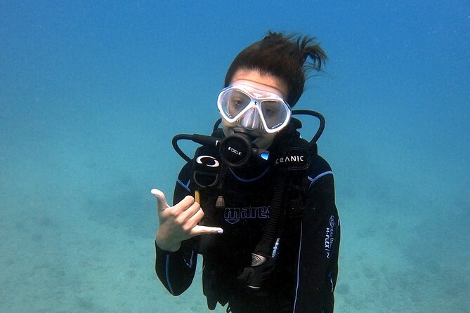 First Time Introductory Scuba Dive - The flow on the water: safety skills, then wildlife time