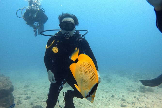 First Time Introductory Scuba Dive - Gear and comfort: why included equipment helps beginners
