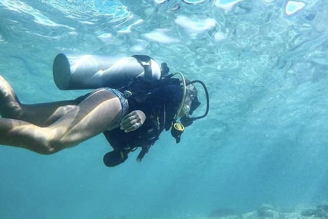 First-Time Scuba Diving in Honolulu + Free Videos - Step-by-step underwater experience, from waist-deep comfort to 15 feet