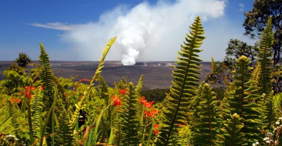 From Oahu: Big Island Volcano Adventure - Key things to know before you go
