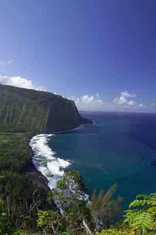 From Oahu: Big Island Volcano Adventure - Picnic lunch in the park, and how to plan around it