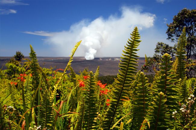 From Oahu: Big Island Volcano Adventure - Rainbow Falls, Banyan Drive, and Lili‘uokalani Gardens
