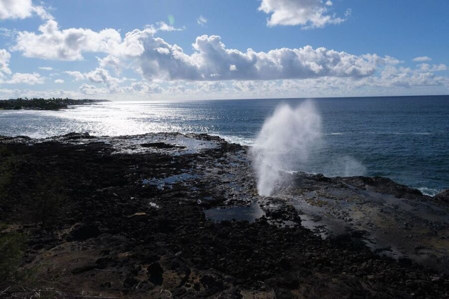 From Oahu: Kauai Waimea Canyon & Wailua River Tour - Key things I’d bookmark before you go