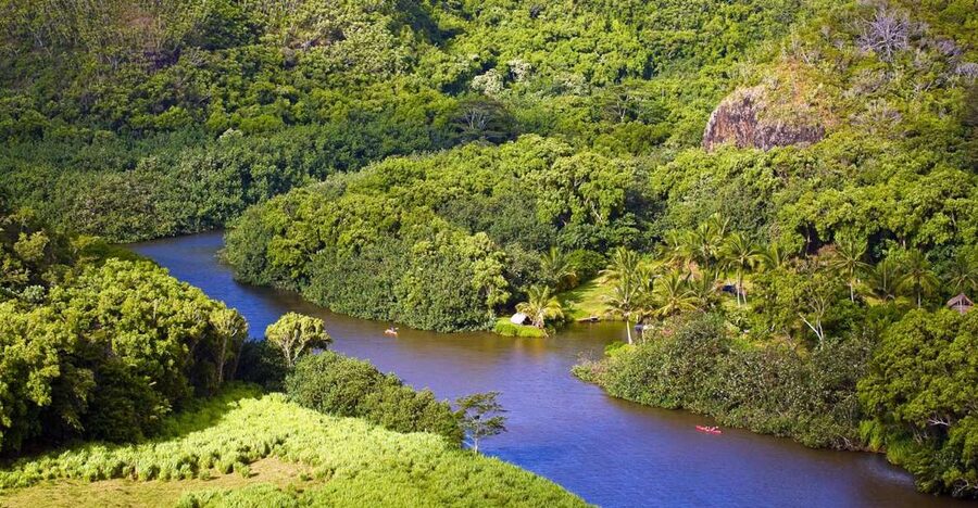 From Oahu: Kauai Waimea Canyon & Wailua River Tour - Old Kōloa Town for lunch on your own and a slower pace