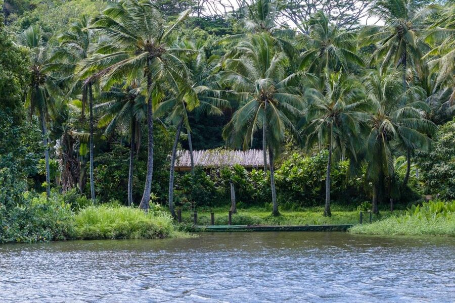 From Oahu: Kauai Waimea Canyon & Wailua River Tour - The extra stops that add meaning: Opaeka’a Falls, Spouting Horn, coffee, and a birthstone site