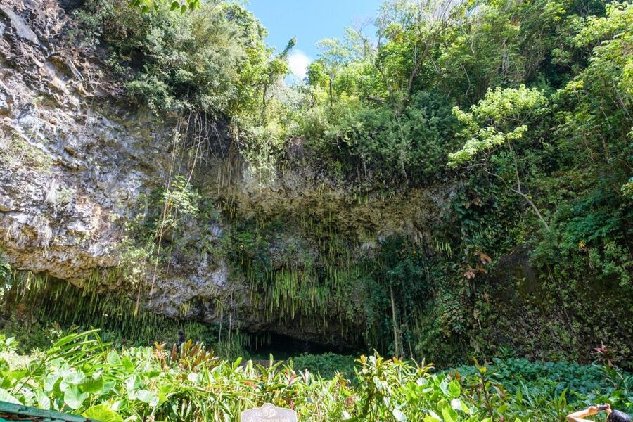 From Oahu: Kauai Waimea Canyon & Wailua River Tour - Who this tour is best for, and who should skip it