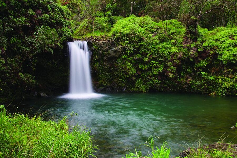 From Oahu: Maui Road to Hana Sightseeing Tour - Hana Farms Lunch: Wood-Fired Pizza in Hana