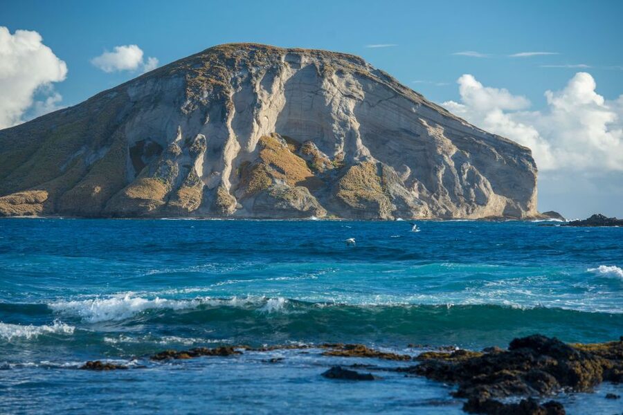 From Waikiki: Best of Oahu Photo Tour with Pickup - Lunch at Ono Steak and Shrimp plus Leonard’s Malasada: the taste breaks the day
