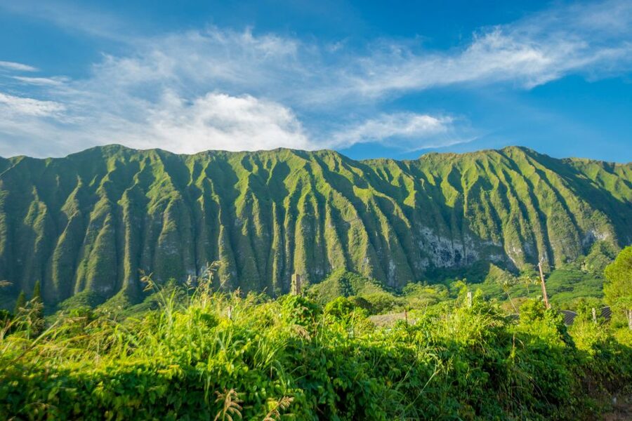From Waikiki: Best of Oahu Photo Tour with Pickup - Who this tour fits best, and who should think twice