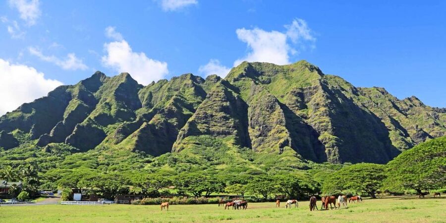 From Waikiki: Circle Island Tour - Ocean Blowhole Drama and the North Shore Views That Steal the Show
