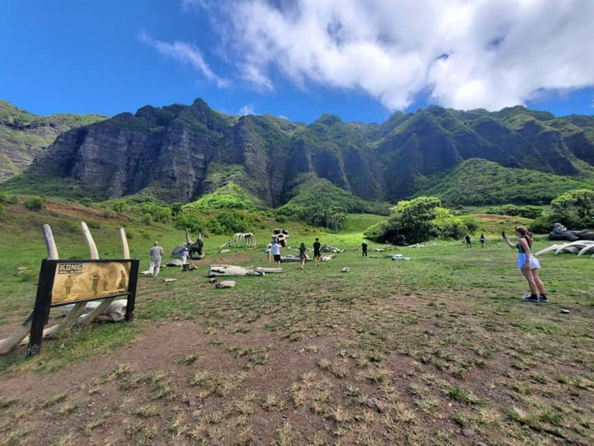From Waikiki: Oahu Circle Island Tour - Snorkeling Session at the End: Marine Life, Natural Habitat, and Simple Planning