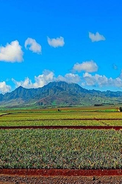 From Waikiki: Oahu Grand Circle Island Experience - Is $165 Good Value for Oʻahu Grand Circle?