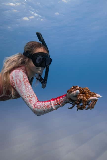 From Waikiki: Turtle Canyon Snorkeling Tour - Meeting point and logistics that save stress