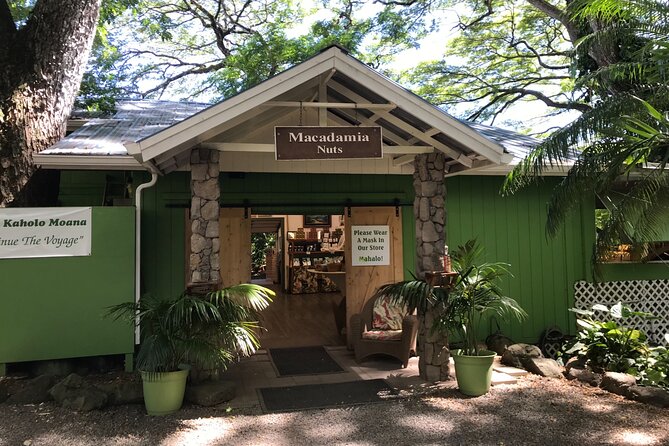 Full-Day Circle Island Guided Tour of Oahu - Tropical Farms macadamia shopping and the souvenir strategy that avoids regret