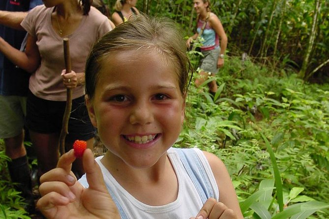 Full Day Oahu Bike, Hike, Sail and Snorkel Combo - Rainforest hike on sacred 75 acres: your 2-mile trail reality check