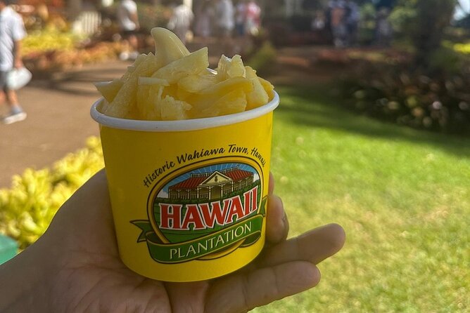 Full Day Oahu Circle Island -Turtle Beach Snorkel at North Shore - Macadamia nut farm tastings at Tropical Farms