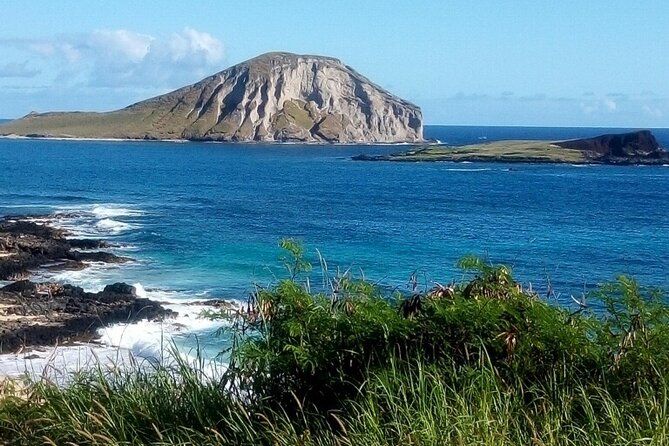 Full Day Oahu Tour with Byodo Temple & Waimea Waterfalls - Waimea Falls Hike: Paved Trail, Real Swim Time, Cold Water