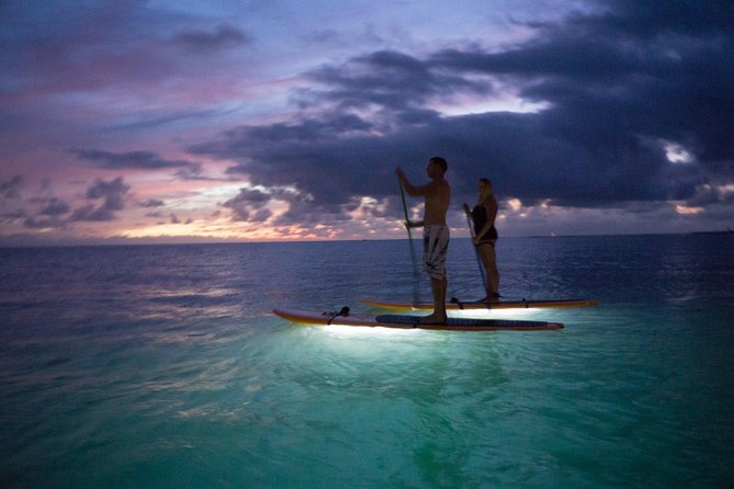 GLOW Stand Up Paddle at Twilight - Key highlights you should plan around