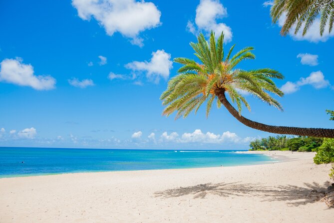 Grand Circle Island Tour - A Half-Day North Shore Loop That Actually Fits Into Your Day