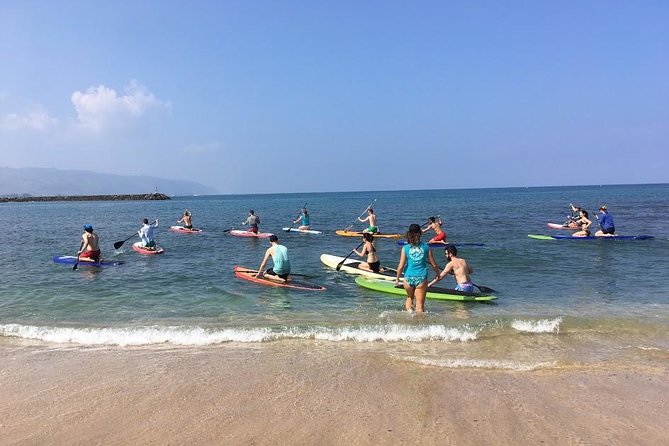 Group Stand Up Paddle Lesson and Tour - Meeting point and timing: where you’ll start in Haleiwa