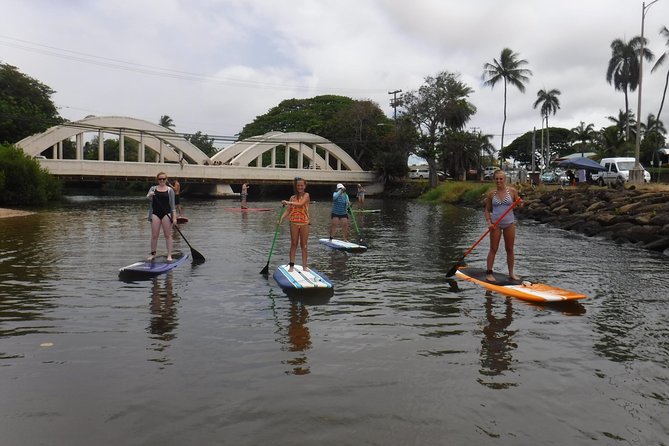 Group Stand Up Paddle Lesson and Tour - Sea turtles and what to expect when sightings happen