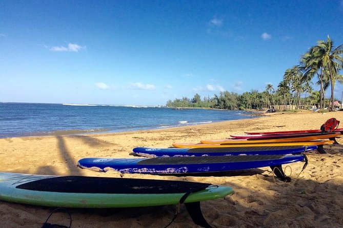 Group Stand Up Paddle Lesson and Tour - Who the guides are, and why lifeguard certification matters
