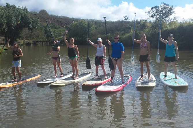 Group Stand Up Paddle Lesson and Tour - What you’ll learn about Hawaiian fauna and Haleiwa town