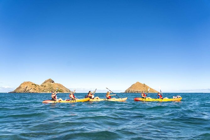 Guided E-Bike and Kayak Tour to Mokulua Islands in Kailua, Oahu - Popoia Island bird sanctuary and the return paddles