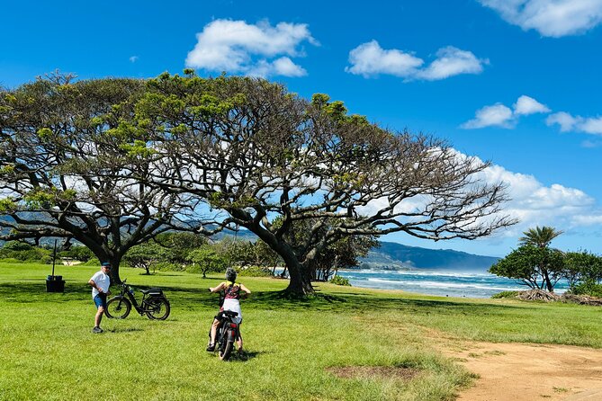 Guided E-Bike Tour in North Shore - Key highlights worth showing up for